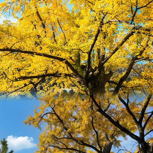 为何出现在彼此的生活又离开 (Live热播版）