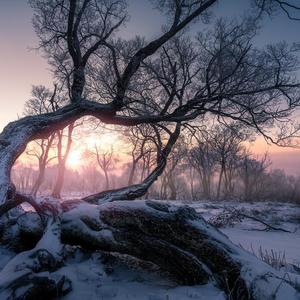 起风了，麻麻子