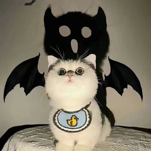 回忆谱写成诗篇