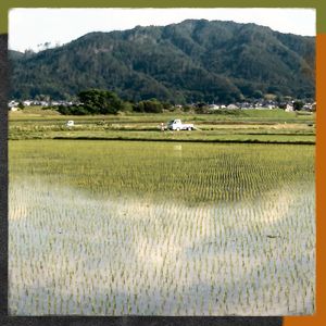 稲穂へ