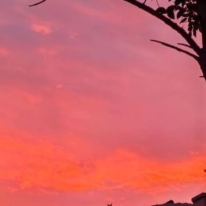 永远倔强_泰山之巅