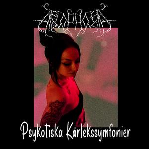 Ensamhetens Förfall