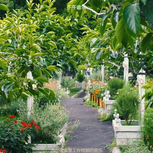 适合读温柔的音乐