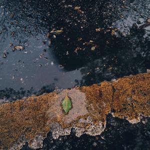 Cameron Ulrich-我想你在我身边（依布ii remix）