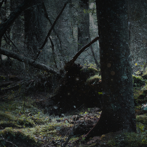 Oakmoss