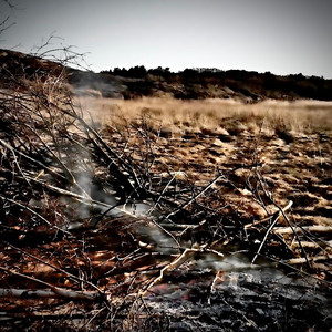 Svedjans svarta bruk