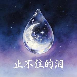 止不住的泪