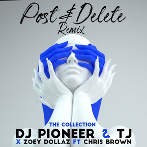 Post & Delete (Remix)