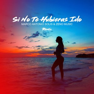 Si No Te Hubieras Ido (Remix)