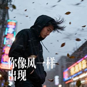 你像风一样出现
