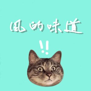 风的味道