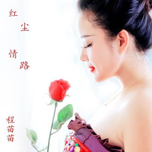 红尘情路 (DJ何鹏女版)