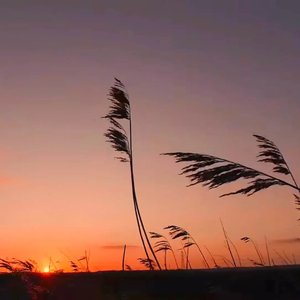 回忆中拥抱_1.wav（翻自 乔洋）