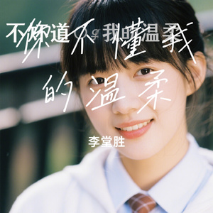 你不懂我的温柔