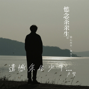 遗憾余生少了你