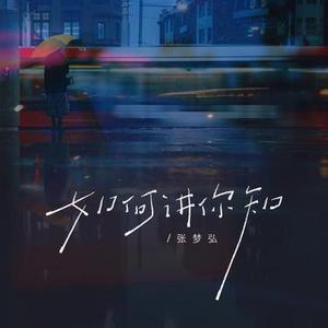 如何讲你知 (DJ版)