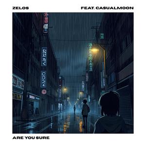 are you sure (feat. Casualmoon)