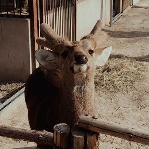 只有我们这样封闭自己（demo）