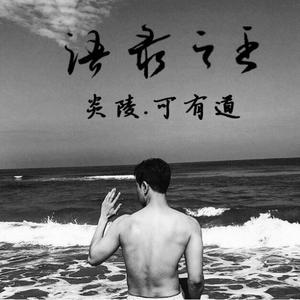 Sofia Karlberg-Crazy In Love 我没有女朋友mash up（可有道 remix）