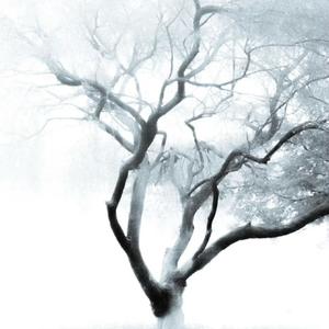 红（cover罗言)