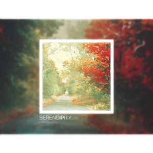 Serendipity(Original Mix)
