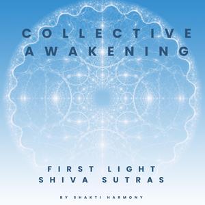 Shiva Sutra 1.21 śuddha vidyodayāc cakreśatva siddhih