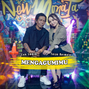 Mengagumimu