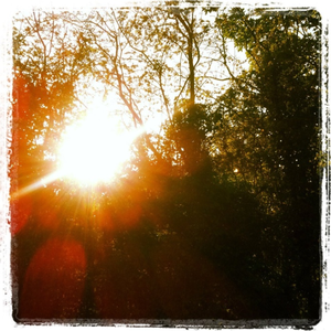 There is always a sad thing....Ⅲ