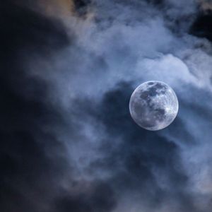 一八晚风终未还