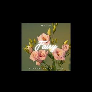 Fairy (Remix)