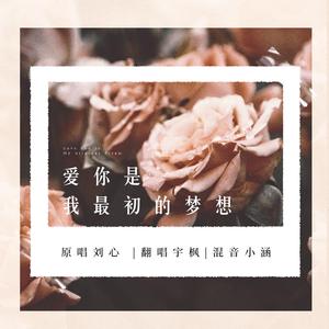 爱你是我最初的梦想