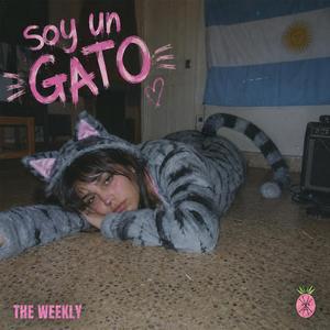 Soy Un Gato