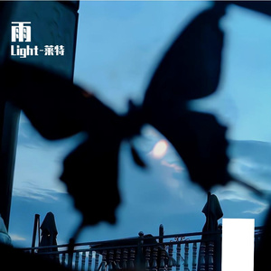 伤己念君的苦果