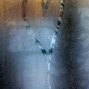 好きをやめていいですか？