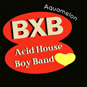 Acid House Boy Band - Not My