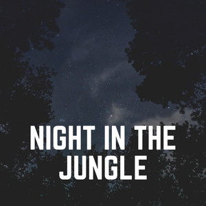 30 Beautiful Nature Sounds, Pt. 9