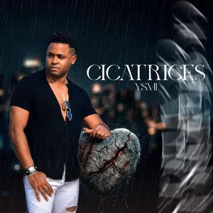Cicatrices