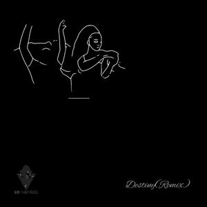 Destiny (feat. JL sa) (Remix)