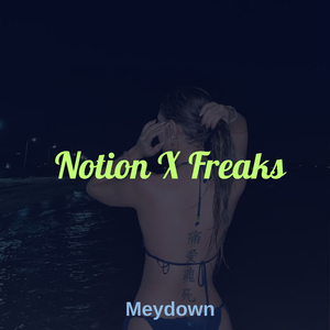Notion (Slowed+Reverb)