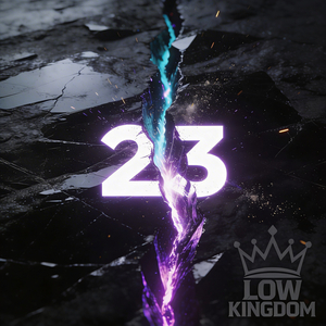 23