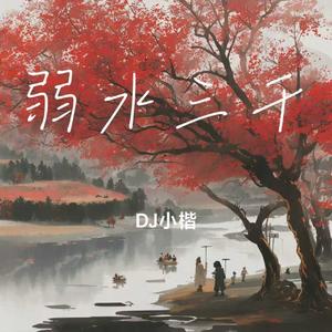 弱水三千（0.8xDJ立体版）