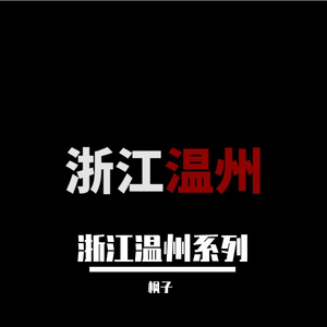 浙江温州之《还我血汗钱》（枫子 remix）
