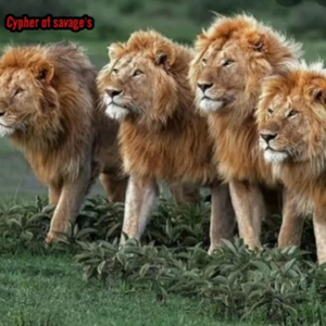 Cypher Of Savages (from Slikadaice) (feat. Thyla & Jabez Z)