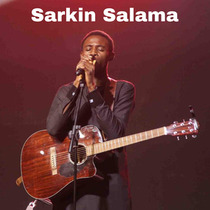 Sarkin Salama