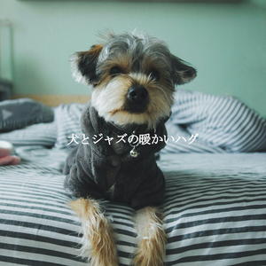 Acoustic and Electric Bossa Nova Piano Duo Soundtrack for Chubby Puppy