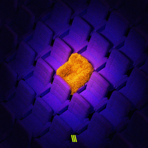 매일밤널생각해