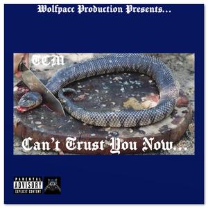 Can't Trust You Now (feat. Reoo & Benji City)