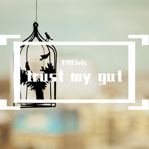 trust my gut（翻自 ICE）