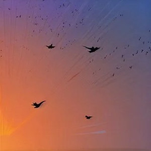 Boring Day (钢琴弹唱版片段)