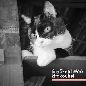 tinySketch #66